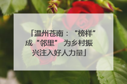 温州苍南：“榜样”成“邻里” 为乡村振兴注入好人力量