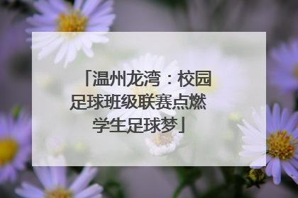 温州龙湾：校园足球班级联赛点燃学生足球梦