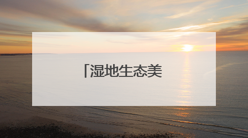 湿地生态美 夏日麋鹿欢