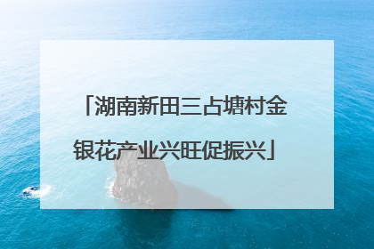 湖南新田三占塘村金银花产业兴旺促振兴