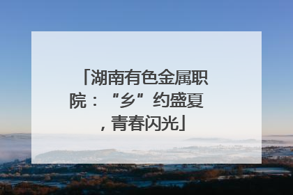 湖南有色金属职院：“乡”约盛夏，青春闪光