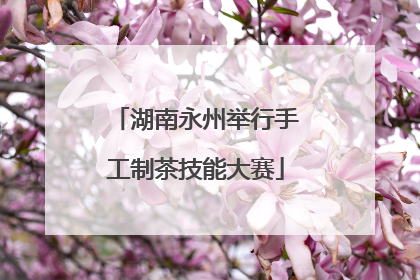 湖南永州举行手工制茶技能大赛