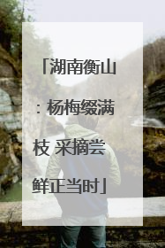 湖南衡山：杨梅缀满枝 采摘尝鲜正当时