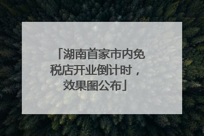 湖南首家市内免税店开业倒计时，效果图公布