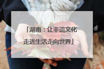 湖南：让非遗文化走进生活走向世界