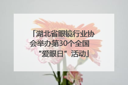 湖北省眼镜行业协会举办第30个全国“爱眼日”活动
