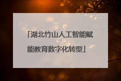 湖北竹山人工智能赋能教育数字化转型