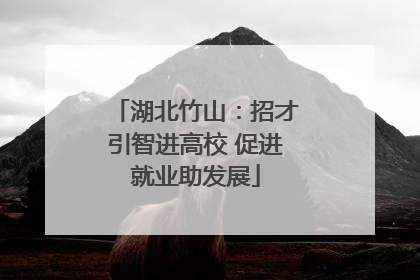 湖北竹山：招才引智进高校 促进就业助发展