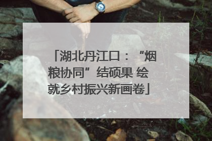 湖北丹江口：“烟粮协同”结硕果 绘就乡村振兴新画卷