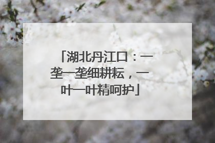 湖北丹江口：一垄一垄细耕耘，一叶一叶精呵护