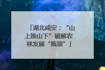 湖北咸安：“山上换山下”破解农林发展“瓶颈”
