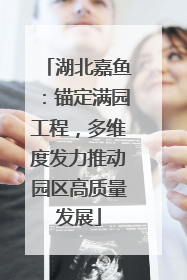 湖北嘉鱼：锚定满园工程，多维度发力推动园区高质量发展