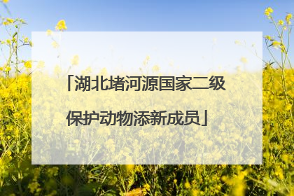 湖北堵河源国家二级保护动物添新成员