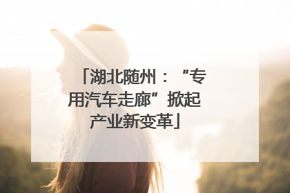 湖北随州：“专用汽车走廊”掀起产业新变革