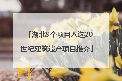 湖北9个项目入选20世纪建筑遗产项目推介