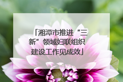 湘潭市推进“三新”领域妇联组织建设工作见成效