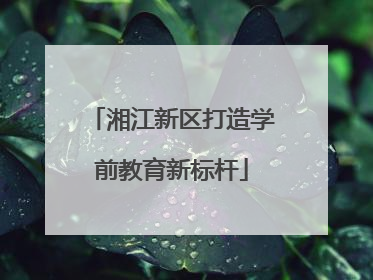 湘江新区打造学前教育新标杆