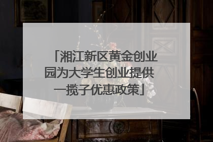 湘江新区黄金创业园为大学生创业提供一揽子优惠政策
