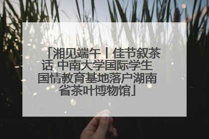 湘见端午丨佳节叙茶话 中南大学国际学生国情教育基地落户湖南省茶叶博物馆