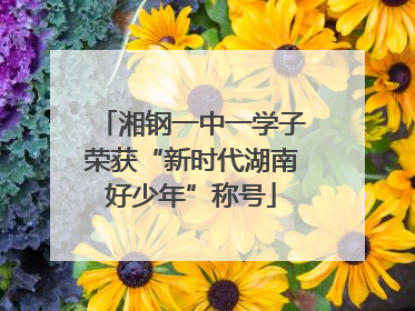 湘钢一中一学子荣获“新时代湖南好少年”称号