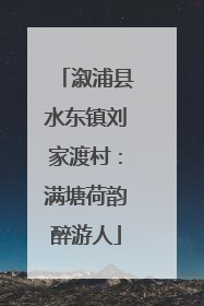 溆浦县水东镇刘家渡村：满塘荷韵醉游人
