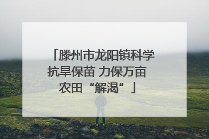 滕州市龙阳镇科学抗旱保苗 力保万亩农田“解渴”