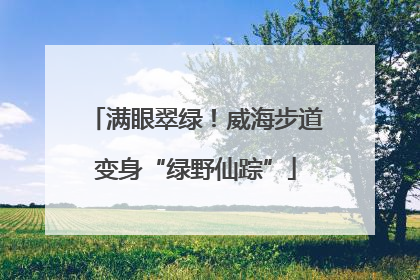 满眼翠绿！威海步道变身“绿野仙踪”