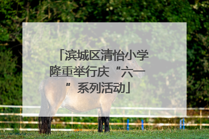 滨城区清怡小学隆重举行庆“六一”系列活动