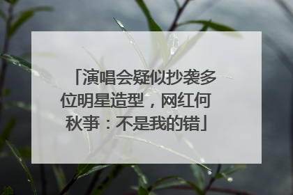 演唱会疑似抄袭多位明星造型，网红何秋亊：不是我的错