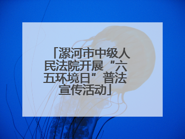 漯河市中级人民法院开展“六五环境日”普法宣传活动
