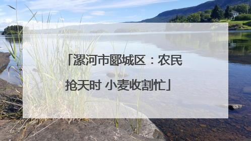 漯河市郾城区：农民抢天时 小麦收割忙