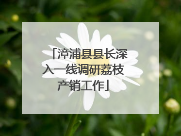 漳浦县县长深入一线调研荔枝产销工作