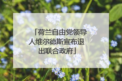 荷兰自由党领导人维尔德斯宣布退出联合政府