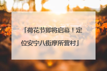荷花节即将启幕！定位安宁八街摩所营村