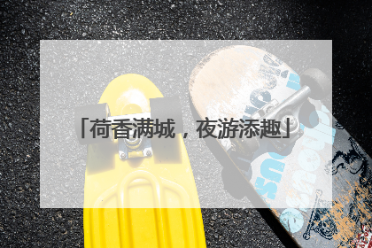 荷香满城，夜游添趣