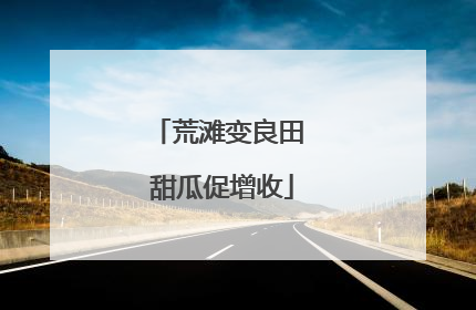 荒滩变良田 甜瓜促增收