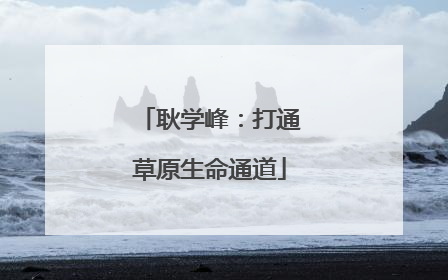耿学峰：打通草原生命通道