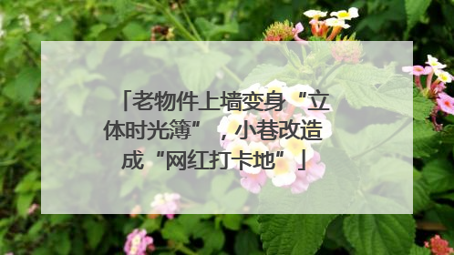 老物件上墙变身“立体时光簿”，小巷改造成“网红打卡地”