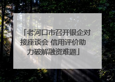 老河口市召开银企对接座谈会 信用评价助力破解融资难题