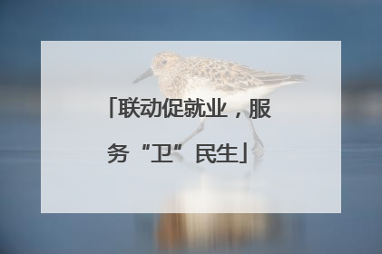 联动促就业，服务“卫”民生