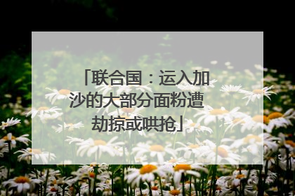 联合国：运入加沙的大部分面粉遭劫掠或哄抢
