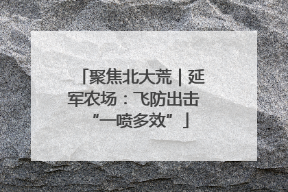 聚焦北大荒｜延军农场：飞防出击 “一喷多效”