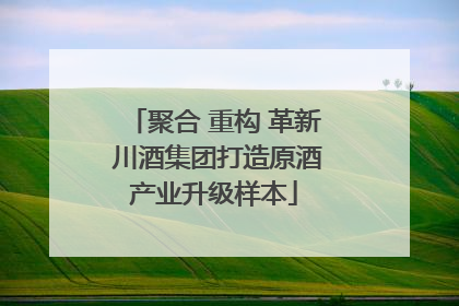 聚合 重构 革新 川酒集团打造原酒产业升级样本