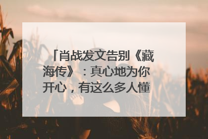 肖战发文告别《藏海传》：真心地为你开心，有这么多人懂你，导演回应“是否有第二季”