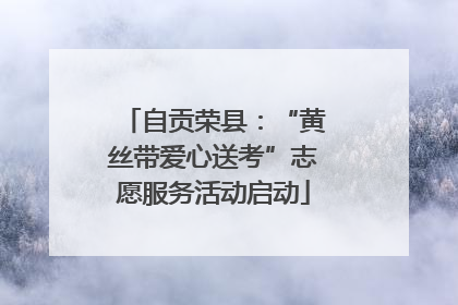 自贡荣县：“黄丝带爱心送考”志愿服务活动启动