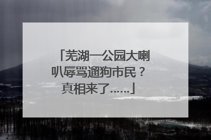 芜湖一公园大喇叭辱骂遛狗市民？真相来了……