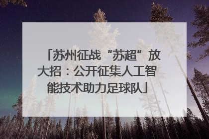 苏州征战“苏超”放大招：公开征集人工智能技术助力足球队