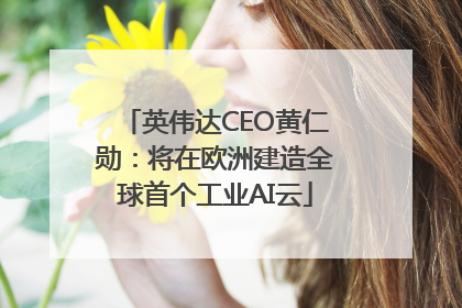 英伟达CEO黄仁勋：将在欧洲建造全球首个工业AI云