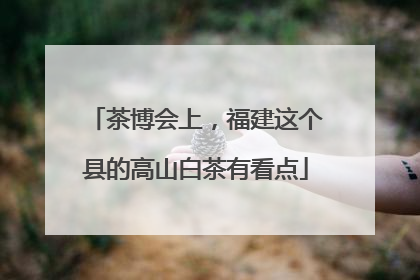 茶博会上，福建这个县的高山白茶有看点