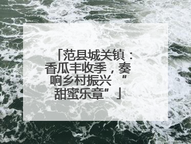 范县城关镇：香瓜丰收季，奏响乡村振兴 “甜蜜乐章”